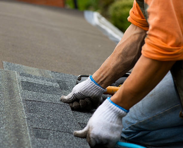 Best Roof Leak Repair  in Dayton, NJ